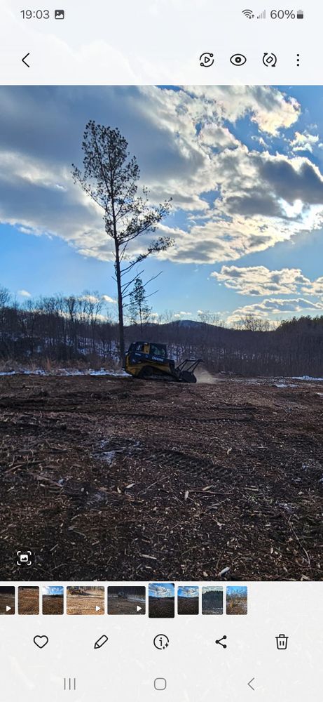 Forestry Mulching for A-Mayse-ing Mulching in Kents Store, Virginia