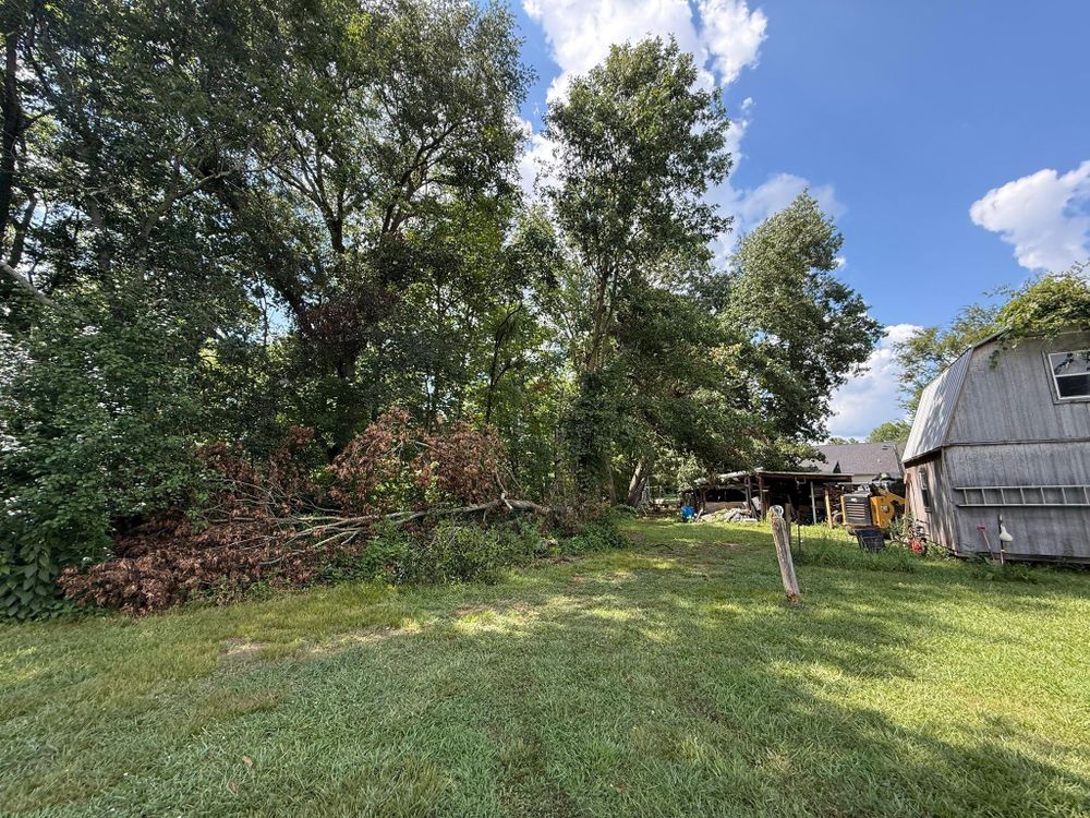 All Photos for Mud Creek Vegetation Management in Russellville, AL