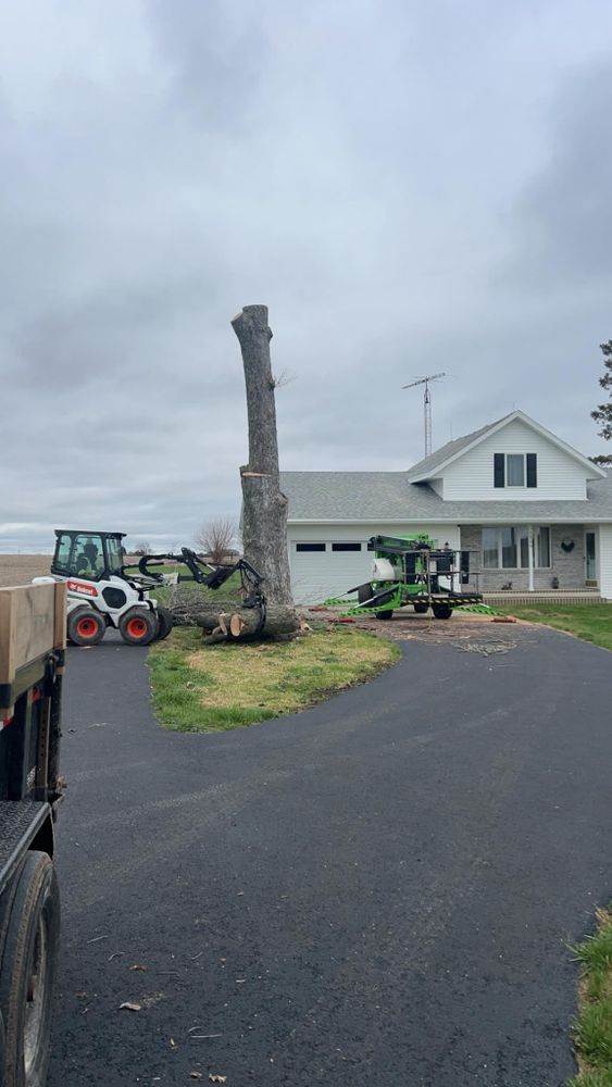 All Photos for Fransen's Tree Service  in Freeport, IL