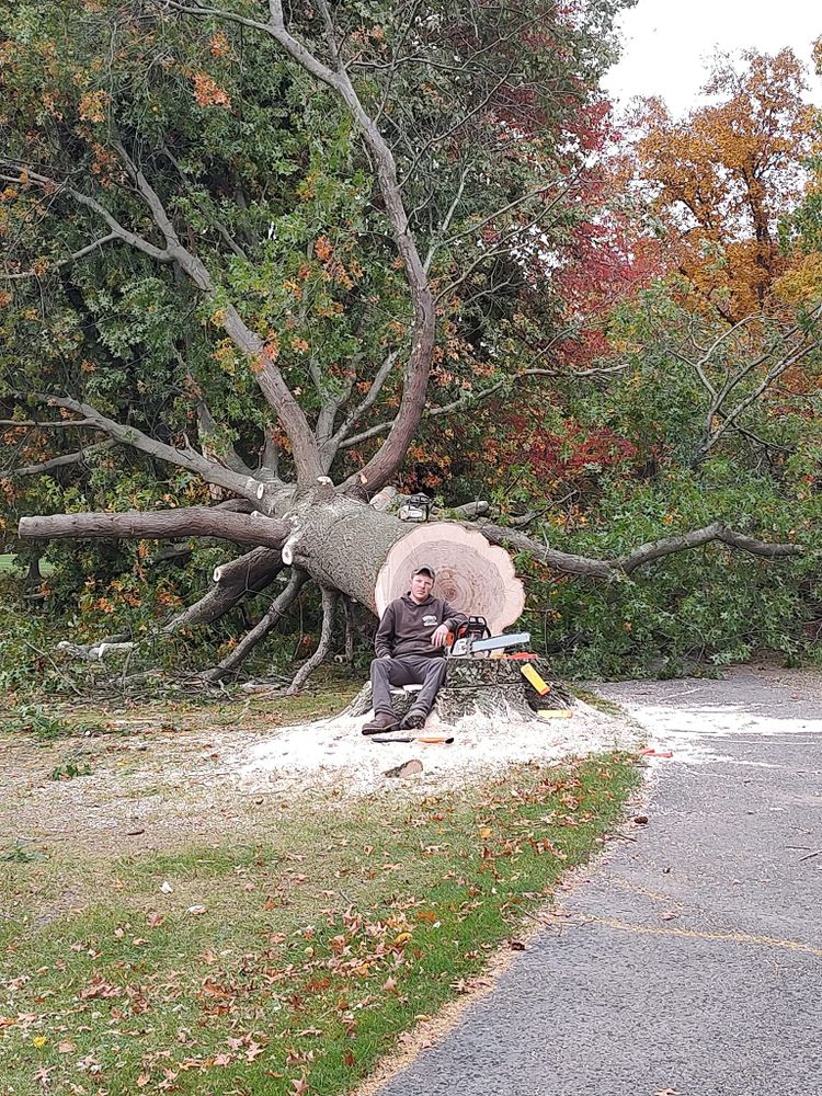 Tree Removal for Billiter's Tree Service, LLC in Rootstown, Ohio