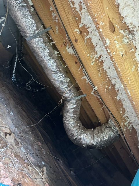 Our crawlspace inspections service provides a thorough assessment of your home's foundation, identifying potential pest entry points and damage. Protect your home from unwanted intruders with our expert inspection team. for Volunteer Home Solutions in Knoxville, TN