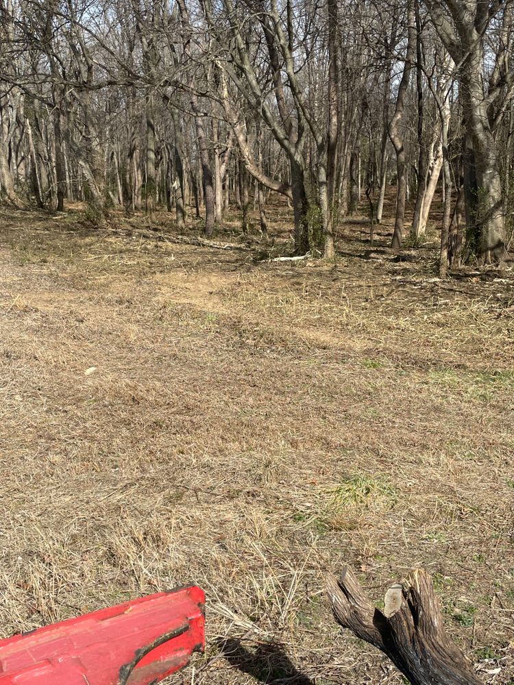 All Photos for JA Clearing  in Pageland, SC