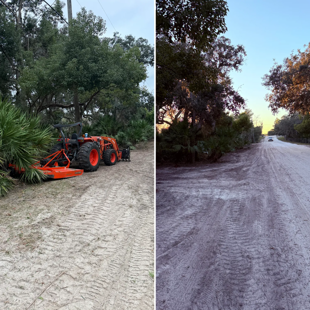 All Photos for Amerigrown Tree And Lawn in Apopka, FL