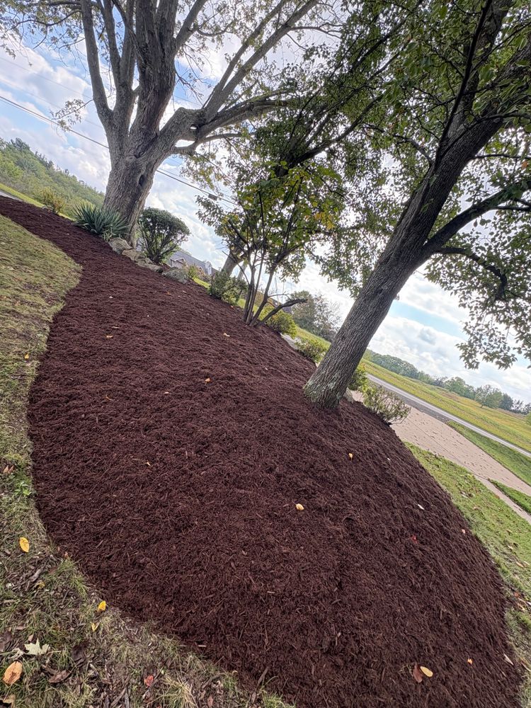 All Photos for Cam Yardz in Washington, PA