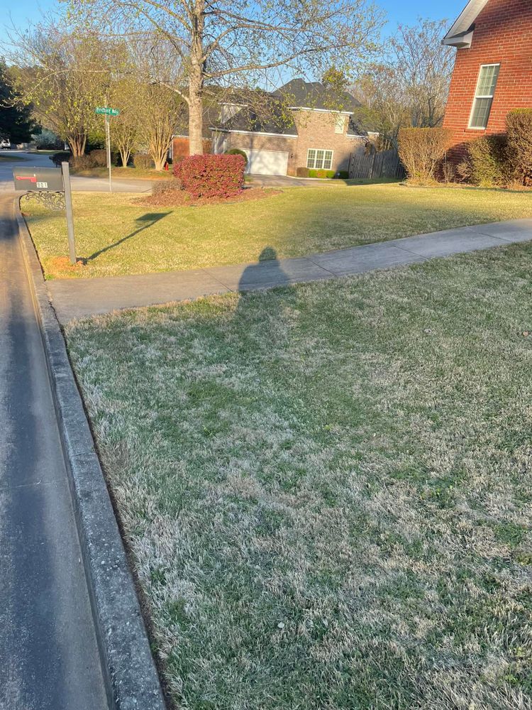 Landscaping for Sparks Landscaping in Augusta, GA