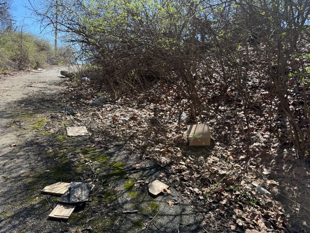 All Photos for A1 Bush Hogging & Lawn Service in London, OH