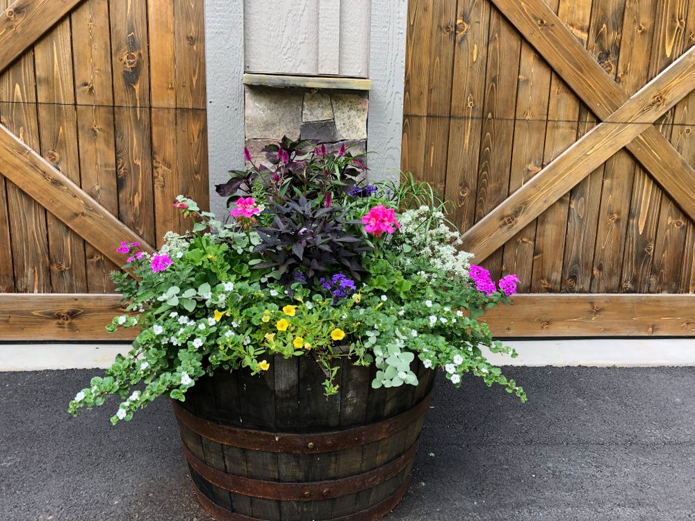 Container Gardening for Sustainable Lawn and Landscape in Banner Elk, NC