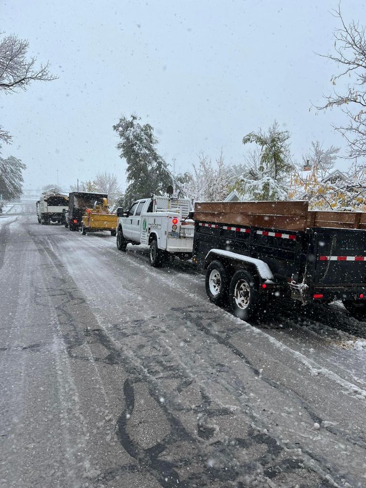 All Photos for Clean Cut Tree Service in Gillette, WY