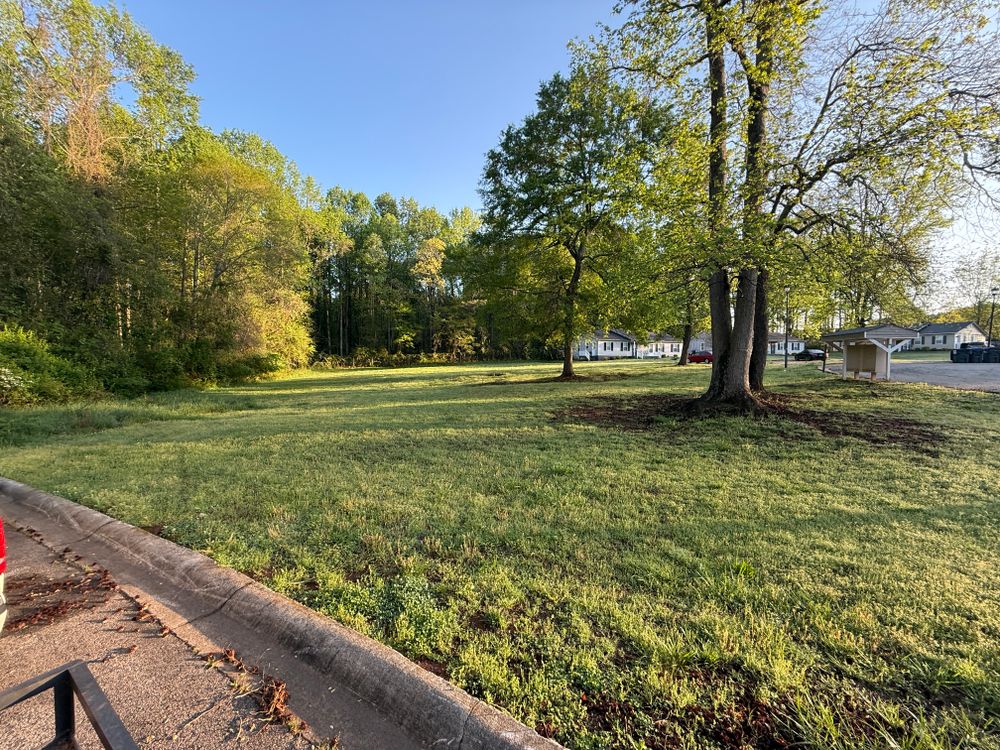 All Photos for GA Lawn Care Pros in Jefferson, GA