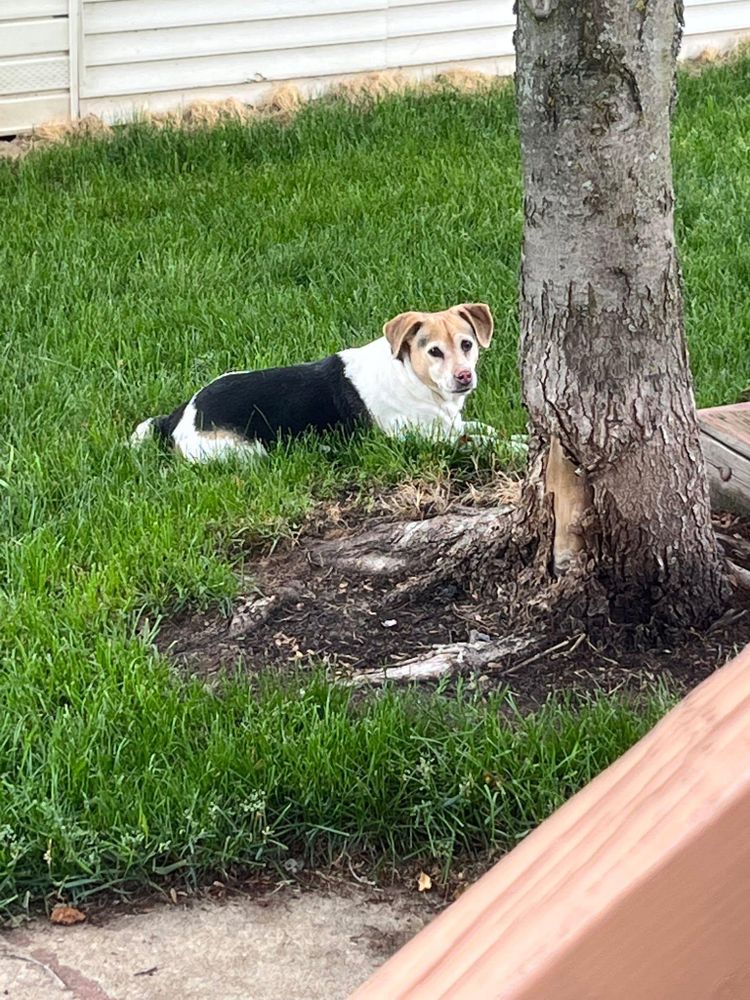 All Photos for Apex Painting in Wayne County, MI