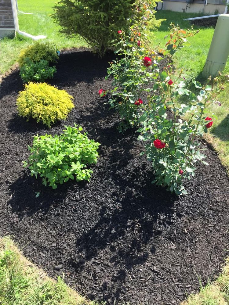 Our Landscape Design service transforms your vision into a beautiful, functional outdoor space with customized layouts, plant selections, and hardscape features that enhance curb appeal, lifestyle, and long-term property value. for HVQ Landscaping in Albany,  NY