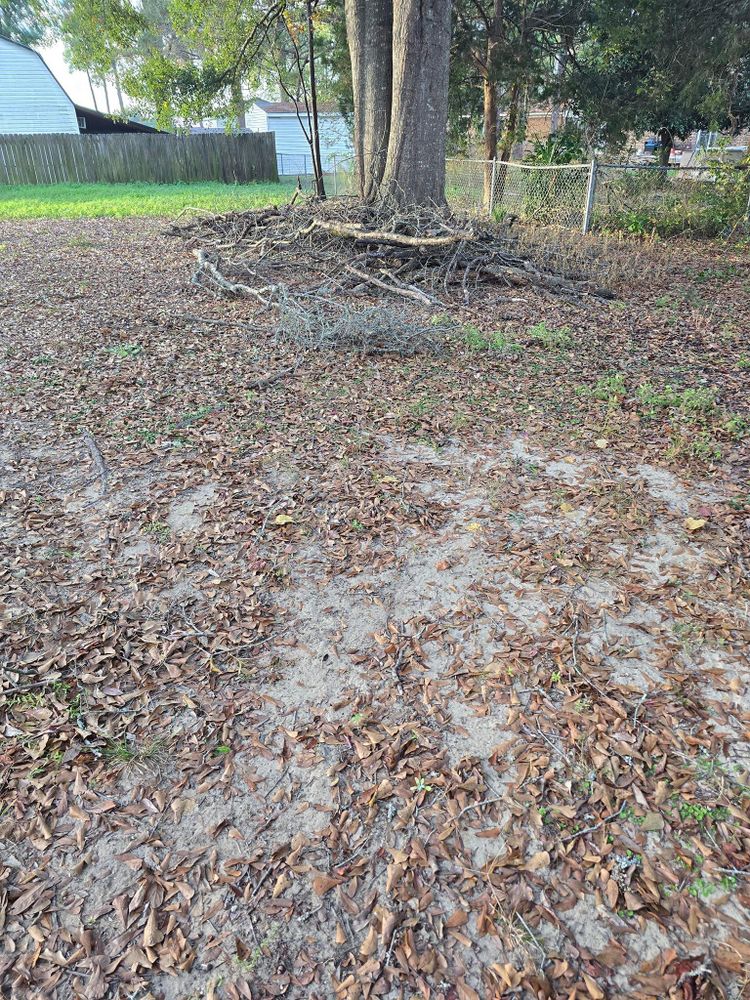 All Photos for Just Mow and Go Lawn Service in New Bern, NC