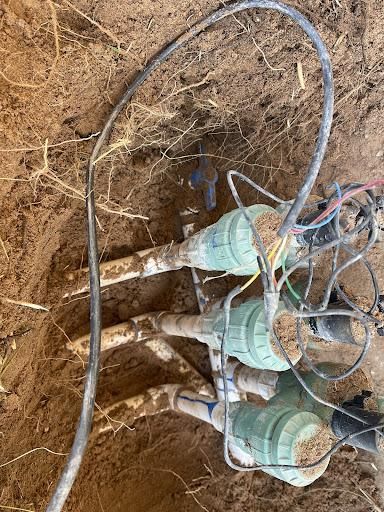 All Photos for Oliver L. Palm & Tree services in Yuma County, AZ