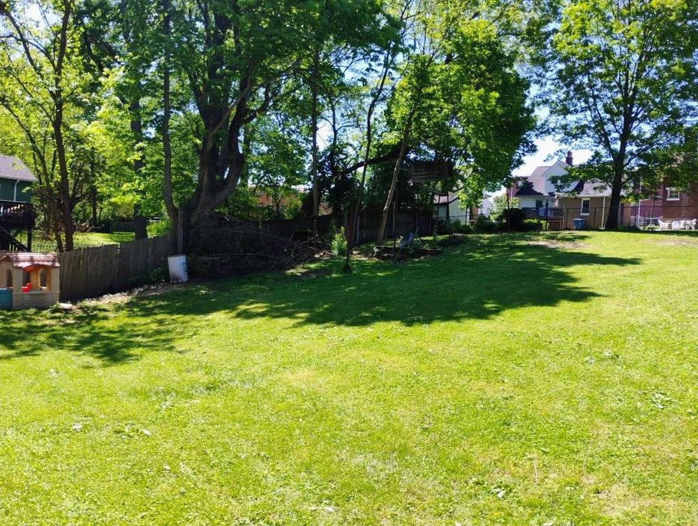 All Photos for Kingdom Tree Trimming and Removal LLC in Covington, KY
