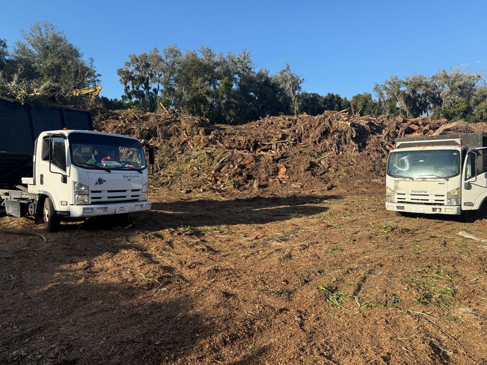 All Photos for Amerigrown Tree And Lawn in Apopka, FL