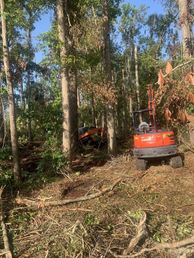 Tree Removal for Coastal Tree & Stump in Charleston, SC