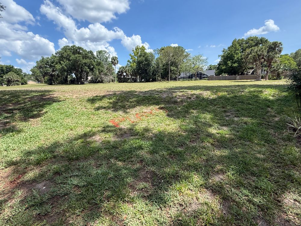 All Photos for Amerigrown Tree And Lawn in Apopka, FL