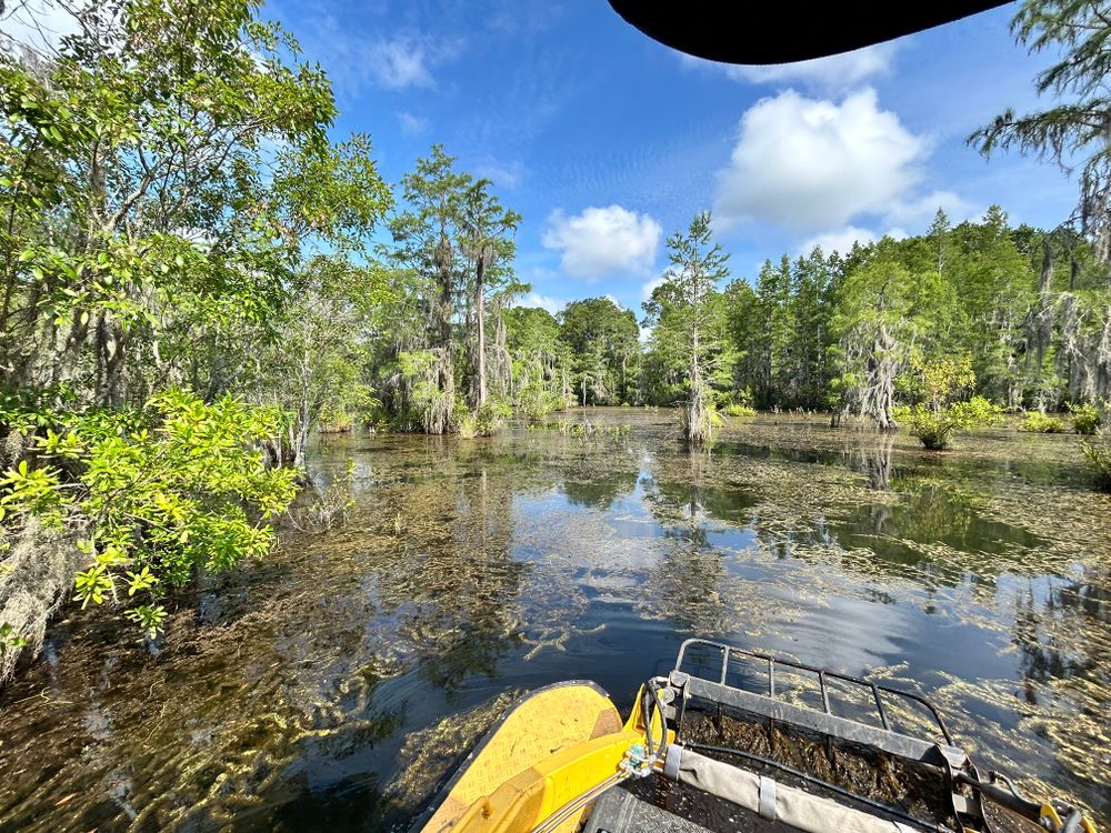 Waterway Clearing for Southeast Aquatic Land Services LLC  in Waycross, GA