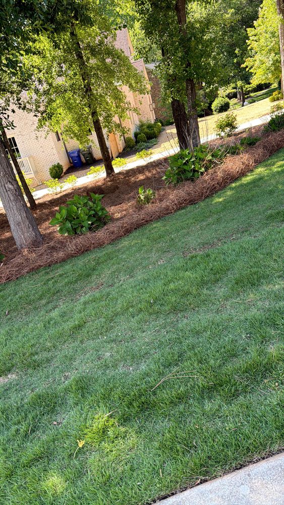 All Photos for Cody’s Lawn & Landscape in Greer, SC