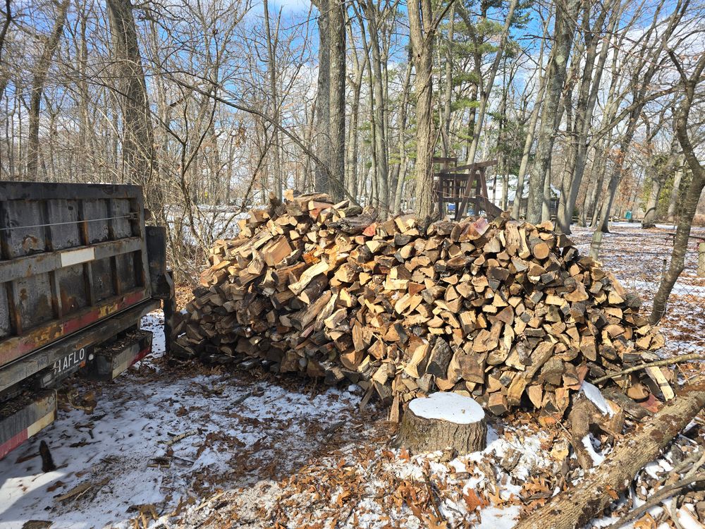 All Photos for D Hale Tree Service in Ann Arbor, MI