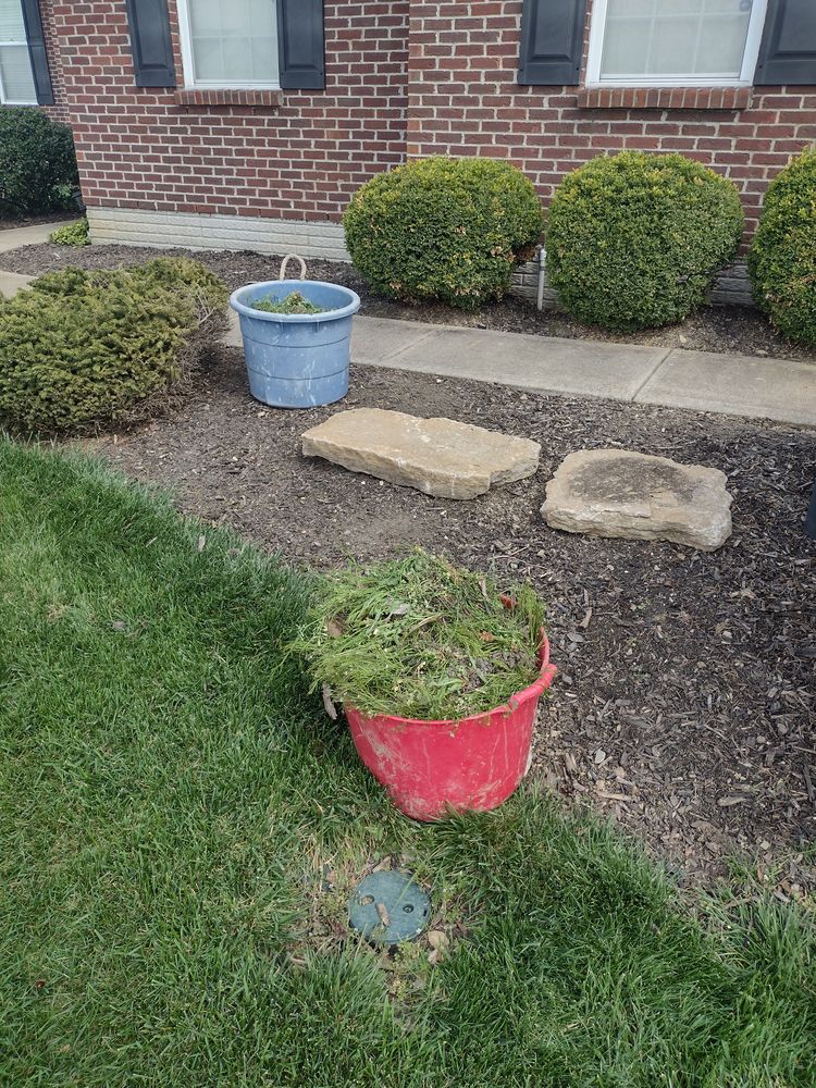 Our Landscape Maintenance services ensure your outdoor space is well-kept year-round. We provide pruning and hedge trimming, weeding, seasonal plant color rotation, and seasonal clean-ups to enhance the beauty and functionality of your property. for Green Shoes Lawn & Landscape in Cincinnati, OH