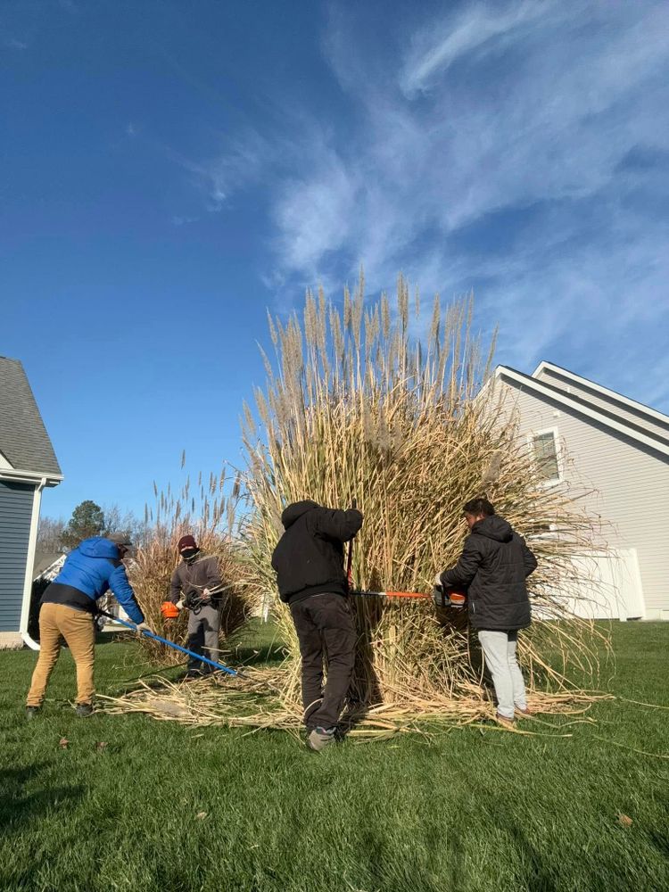 All Photos for Lawn pro services llc. in Georgetown, DE