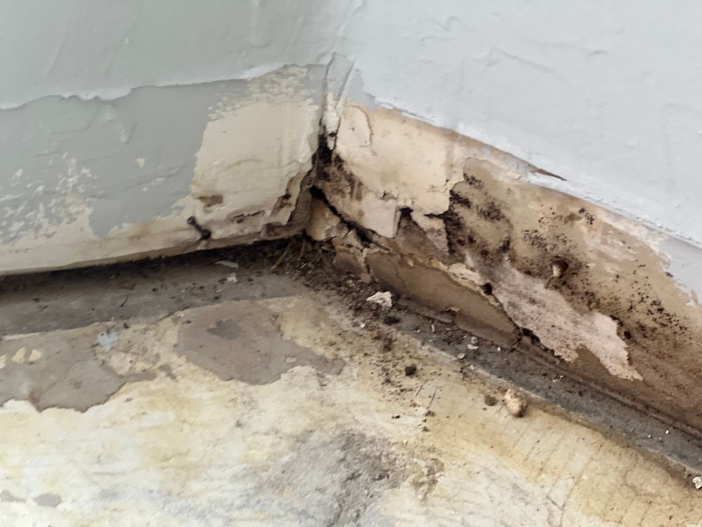 Mold Remediation for N&D Restoration Services When Disaster Attacks, We Come In in Cape Coral,  FL