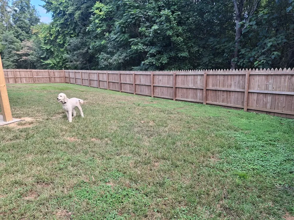 All Photos for P Martinez Painting in Salem, VA