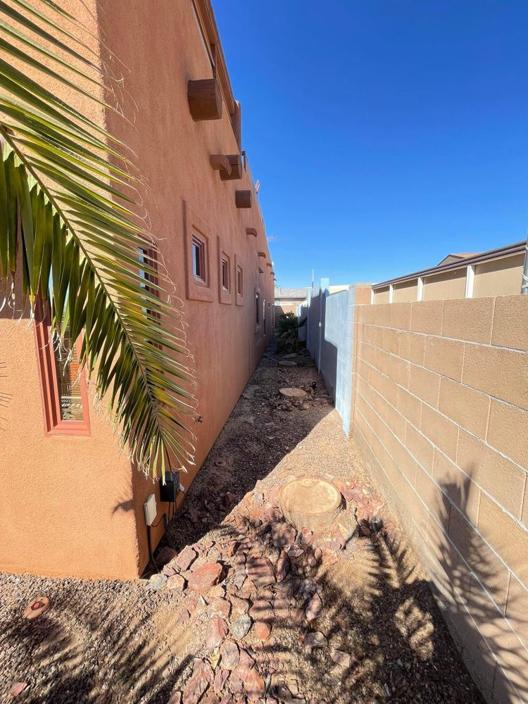 All Photos for Oliver L. Palm & Tree services in Yuma County, AZ