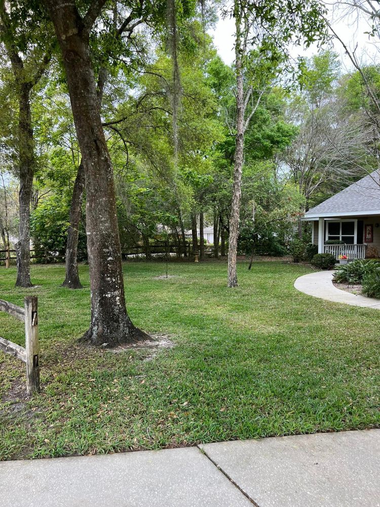 Land Clearing for Vaughn’s Outdoor Services  in Orlando, FL