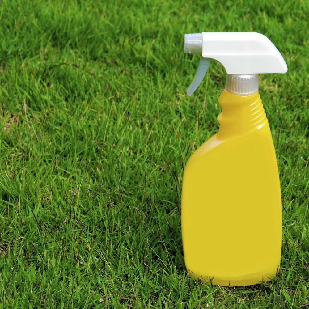 All Photos for Terra Heights Tree Experts & Landscaping  in Grass Valley,  CA