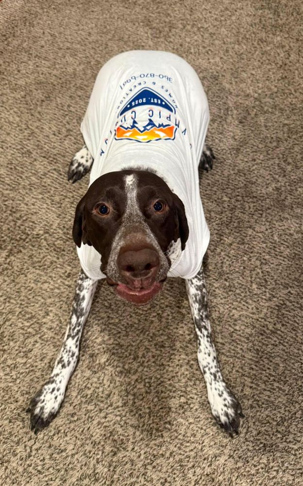 All Photos for Olympic Custom Homes & Creations in Shelton, WA