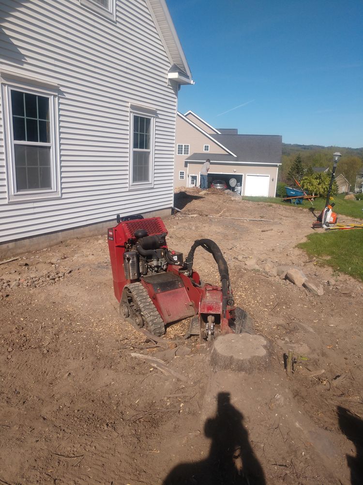 Stump Removal for TH Property Service, LLC in Manlius, NY