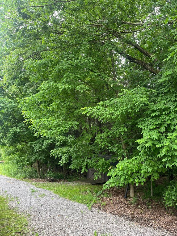 All Photos for J&E Tree & Excavation Services in Sandy, PA