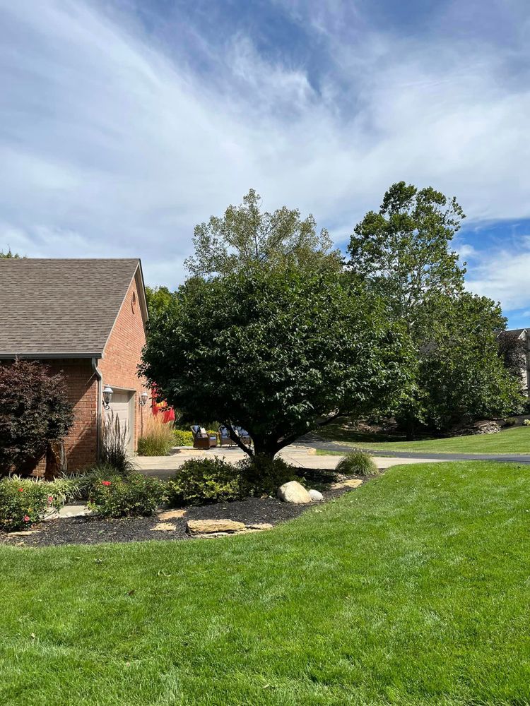 All Photos for Cincinnati’s Finest Landscape Services LLC in Cincinnati, OH