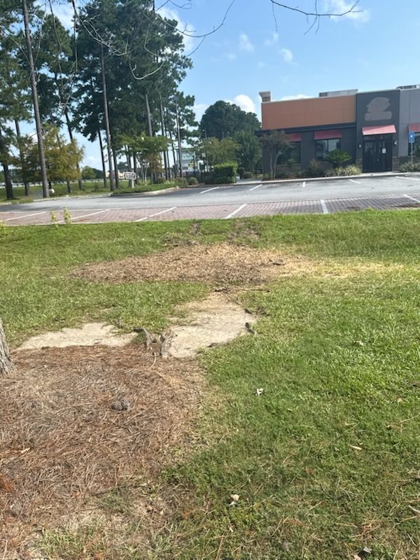 Our Dirt Work service expertly prepares your landscape for tree planting, ensuring optimal soil conditions and seamless integration with existing outdoor spaces for healthy growth and enhanced aesthetic appeal. for Hawkins Tree Service & Land Management in Richmond Hill, GA