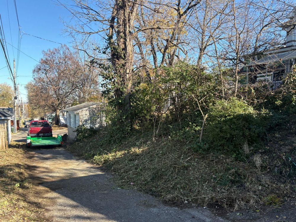 All Photos for Dig-It Tree Company in Mason, OH