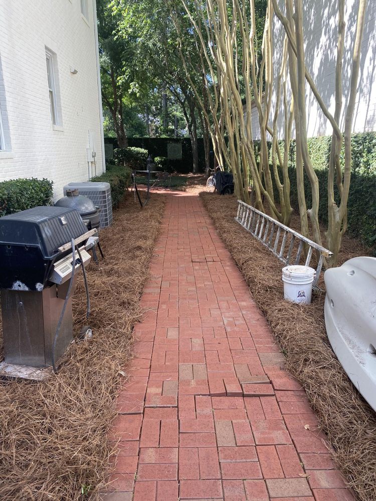 All Photos for All-Star Lawn Care & Soft Washing in Mobile, AL