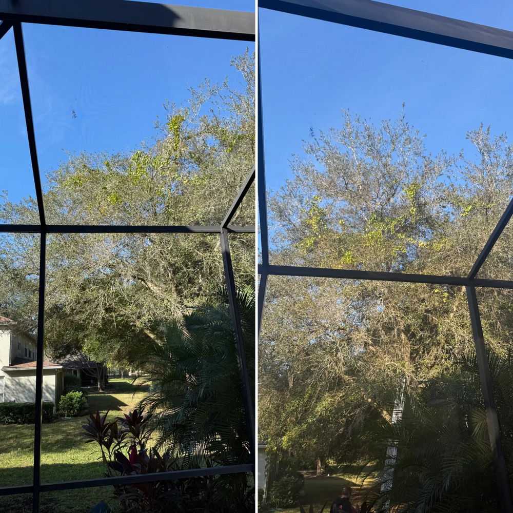 All Photos for Amerigrown Tree And Lawn in Apopka, FL