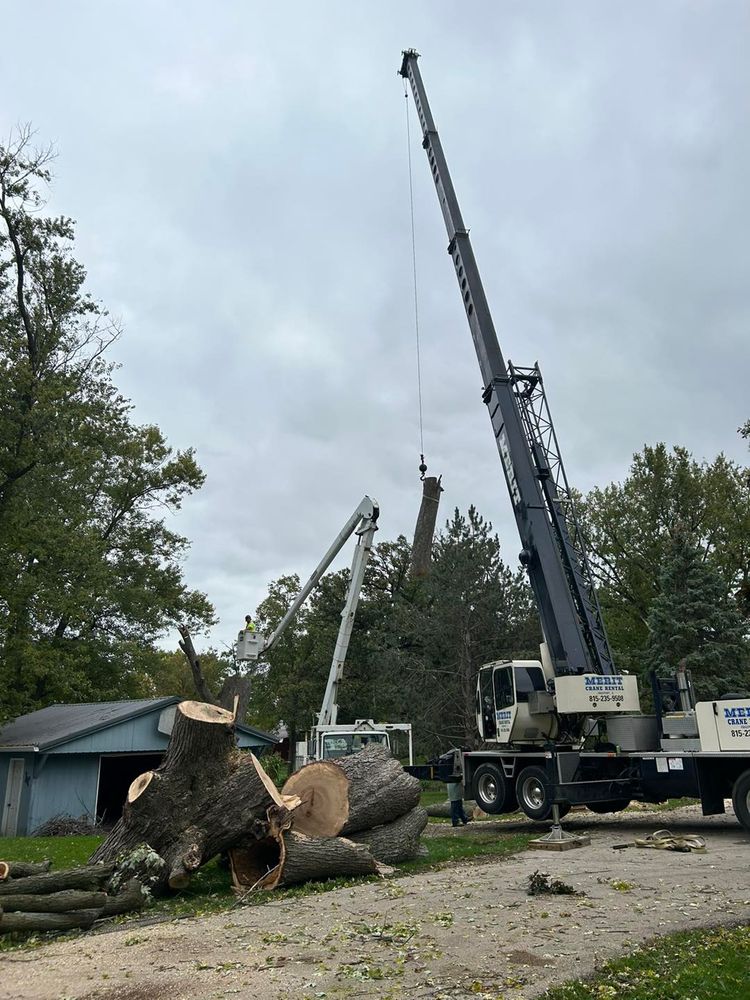 Tree Removal for Fransen's Tree Service  in Freeport, IL