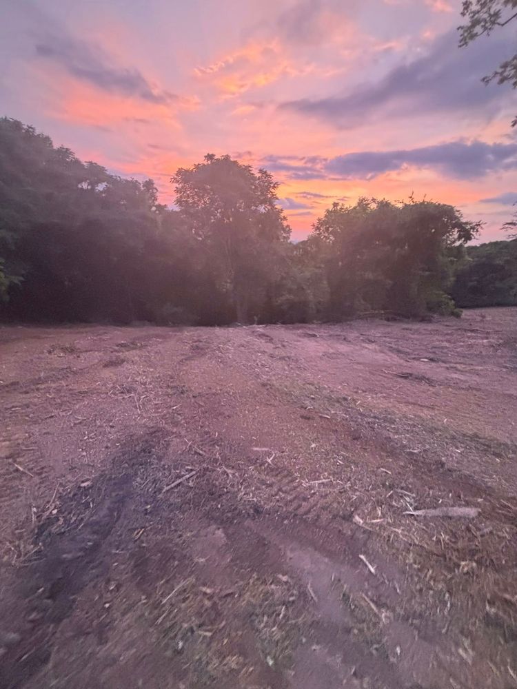 All Photos for JC Land Clearing in Shelbyville, TN