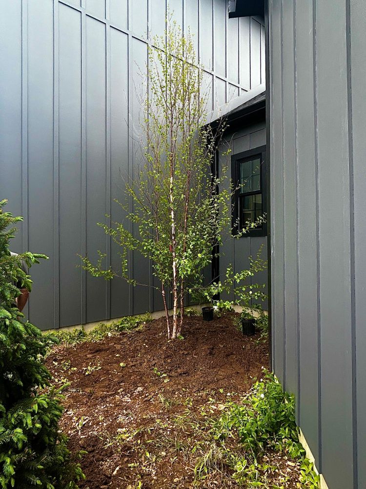 All Photos for Tony Monaco Landscaping Inc. in Orange County, NY