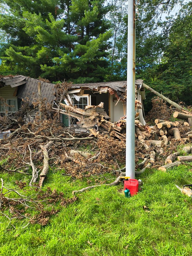 Tree Removal for Hunnicutt’s Tree Service L.L.C. in Monticello, IN