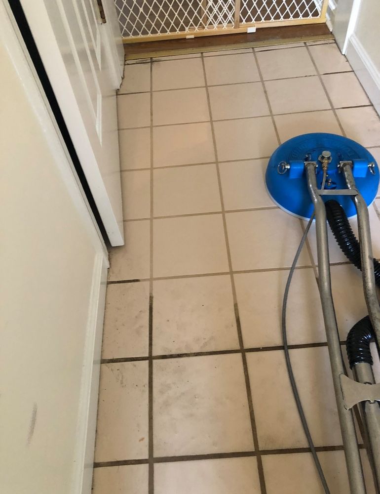 Carpet Cleaning for Banderas Cleaning Service in Elsmere, DE