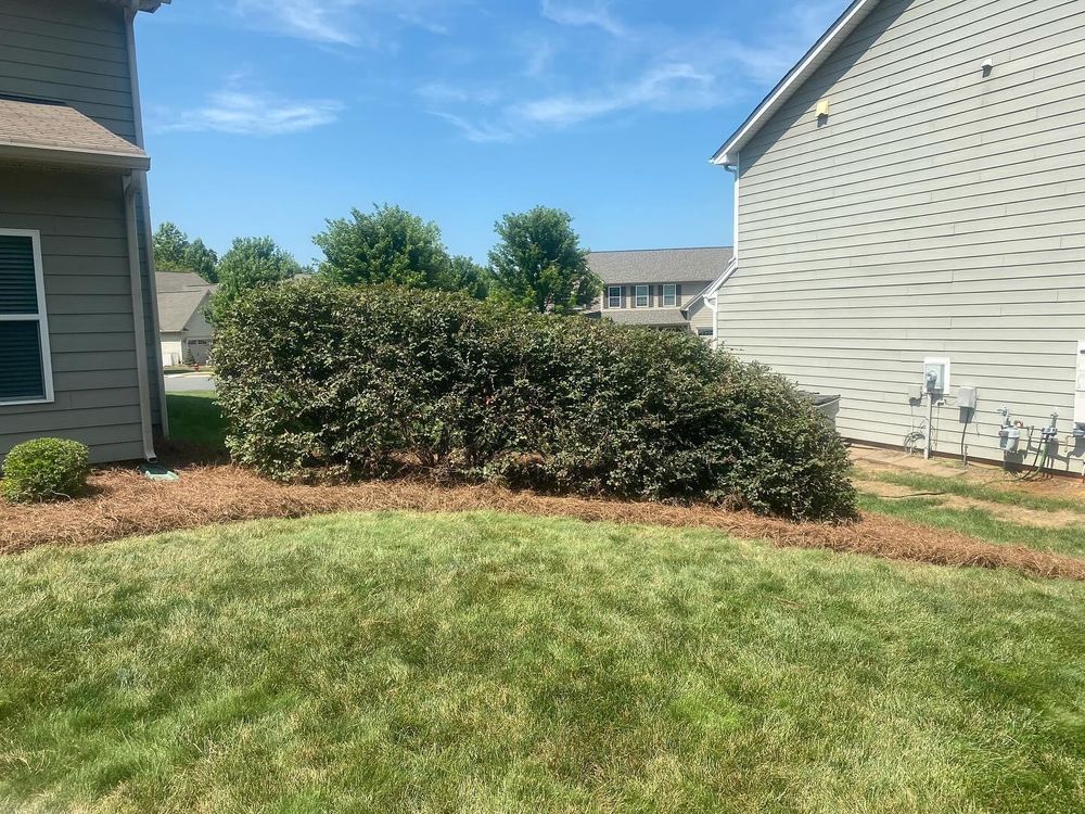 Mulching for America's Top Pick Lawn & Landscaping in Gastonia, NC