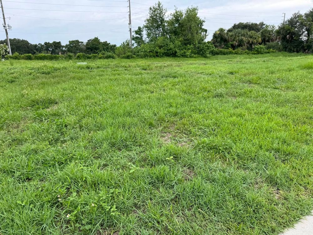 Landscaping for MyerScapes Environmental  in Lakeland, FL