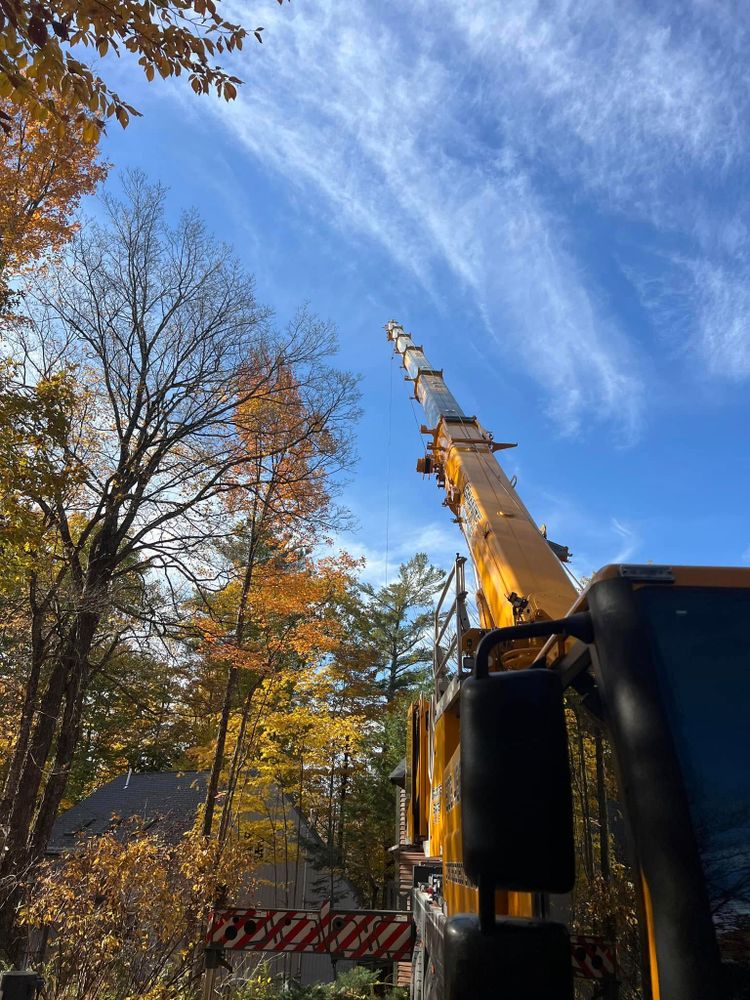 All Photos for Abair Tree Service in Weare, NH