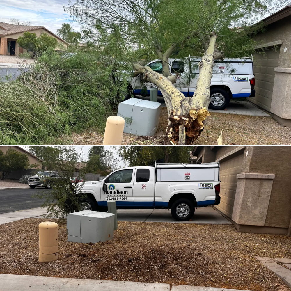 In the event of a landscaping emergency, our team is here to quickly respond and provide necessary services to restore the beauty and functionality of your outdoor space. for AZ Tree & Hardscape Co in Surprise, AZ