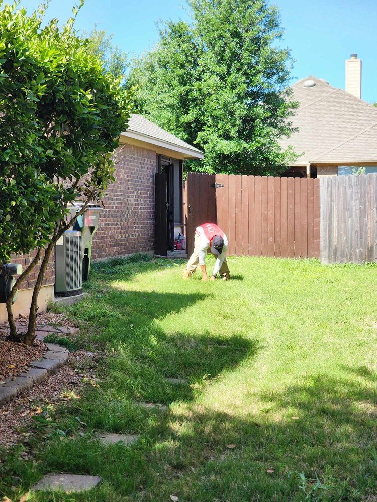 All Photos for Fresh Yards Landscaping in Austin, Texas