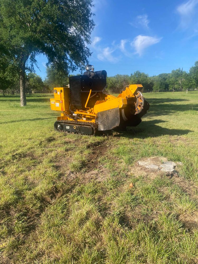 All Photos for West Stump Grinding in Temple, TX